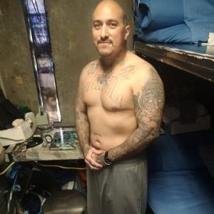 Meet your Posher, Sylvia